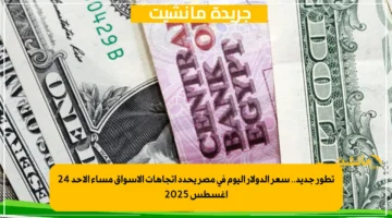 تطور جديد.. سعر الدولار اليوم في مصر يحدد اتجاهات الأسواق مساء الأحد 24 أغسطس 2025